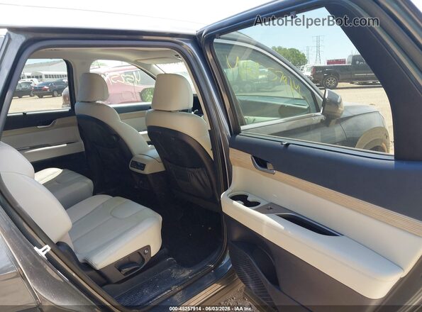 KM8R4DHE7LU134399 2020 HYUNDAI PALISADE Gray Vista de la etiqueta del VIN