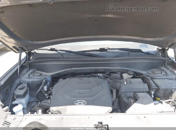 KM8R4DHE7LU134399 2020 HYUNDAI PALISADE Gray Vista trasera