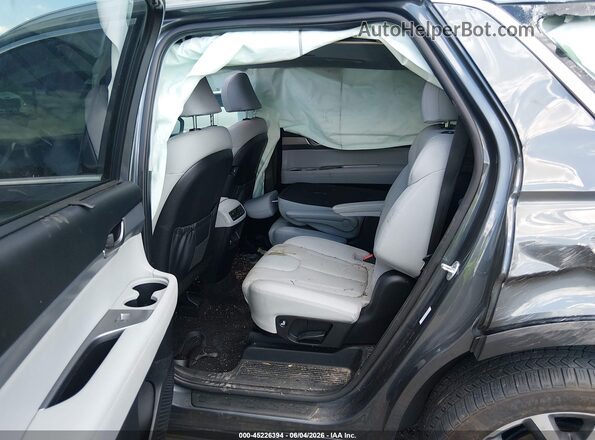 KM8R4DHE8LU100987 2020 HYUNDAI PALISADE Серый Вид наклейки с VIN-кодом