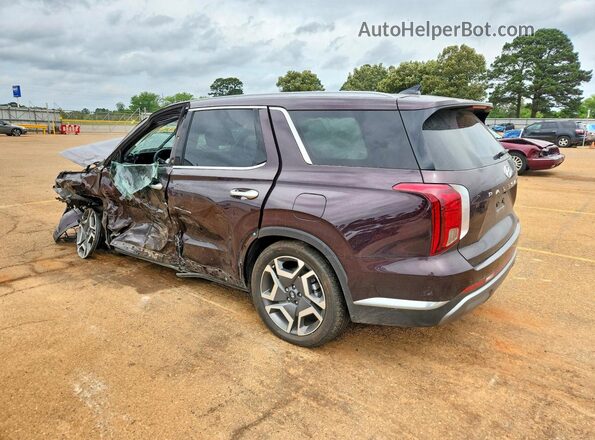 KM8R54GEXRU741355 2024 HYUNDAI PALISADE Purple Задня ліва чверть