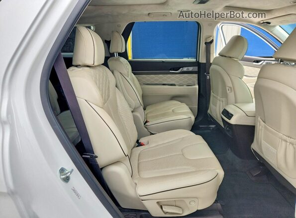 KM8R54HE7LU085735 2020 HYUNDAI PALISADE White Vista interior trasera