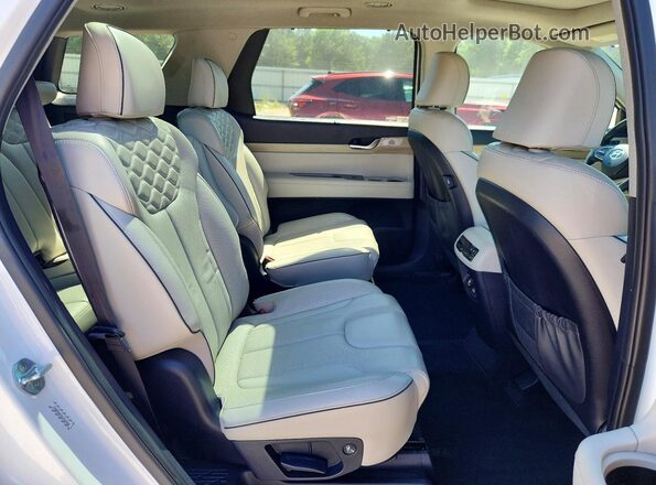 KM8R54HE8MU310908 2021 HYUNDAI PALISADE Белый Вид задней части салона