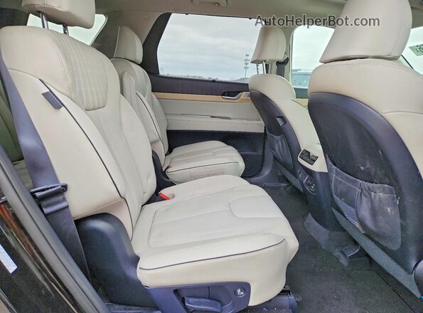 KM8R5DGE0PU503169 2023 HYUNDAI PALISADE Black Rear interior view