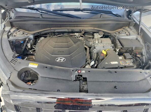 KM8R5DGE0PU614983 2023 HYUNDAI PALISADE Gray Вид задньої частини салону