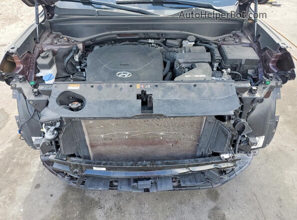 KM8R5DGE3PU634063 2023 HYUNDAI PALISADE Burgundy 