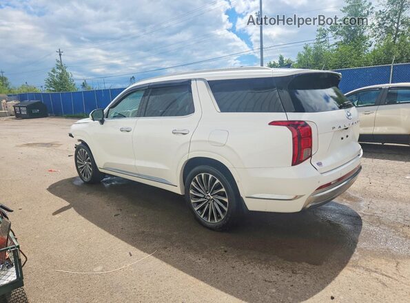 KM8R5DGE7RU765547 2024 HYUNDAI PALISADE Белый Задняя левая четверть