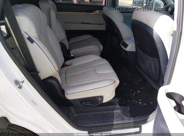 KM8R5DGE9PU502425 2023 HYUNDAI PALISADE Белый Вид наклейки с VIN-кодом