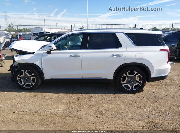 KM8R5DGE9PU502425 2023 HYUNDAI PALISADE Белый Панорамный вид салона 360°