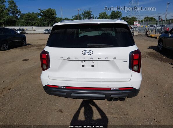KM8R5DGE9PU502425 2023 HYUNDAI PALISADE Белый 