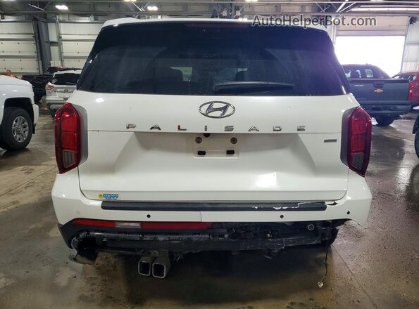 KM8R5DGE9RU688258 2024 HYUNDAI PALISADE Белый Вид сзади