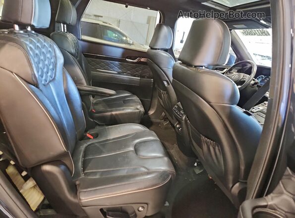 KM8R5DHE2LU082368 2020 HYUNDAI PALISADE Black Սալոնի հետևի տեսք