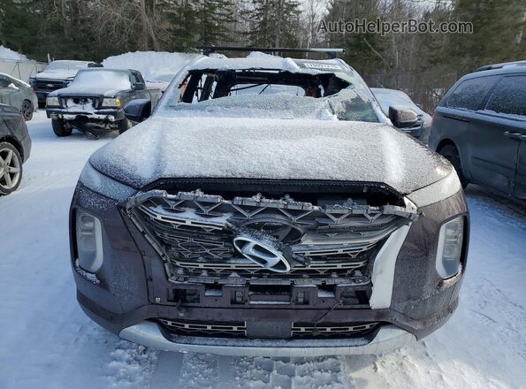 KM8R5DHE3LU034233 2020 HYUNDAI PALISADE Brown Դիմացի տեսք