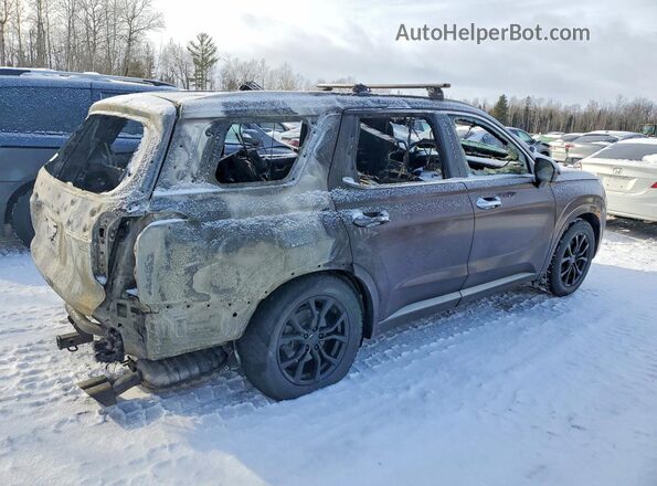 KM8R5DHE3LU034233 2020 HYUNDAI PALISADE Brown Հետևի աջ
