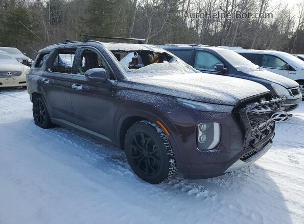 KM8R5DHE3LU034233 2020 HYUNDAI PALISADE Brown Առջևի աջ
