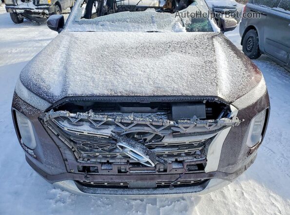 KM8R5DHE3LU034233 2020 HYUNDAI PALISADE Brown Շարժիչի բաժամունքի տեսք