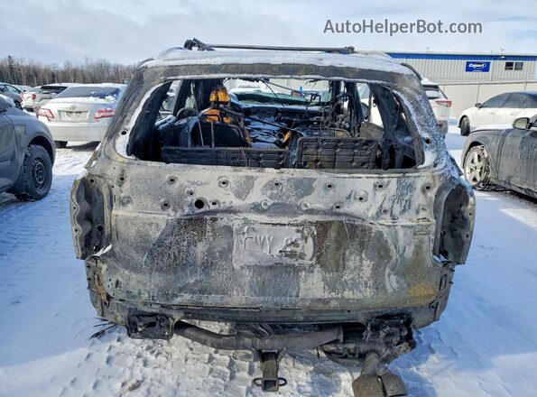 KM8R5DHE3LU034233 2020 HYUNDAI PALISADE Brown Հետևի տեսք
