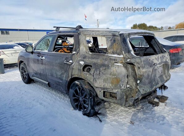 KM8R5DHE3LU034233 2020 HYUNDAI PALISADE Brown Հետևի ձախ