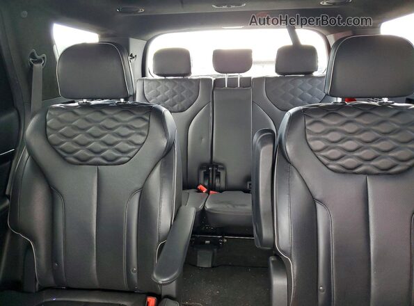 KM8R5DHE4LU072389 2020 HYUNDAI PALISADE Black Rear seats view