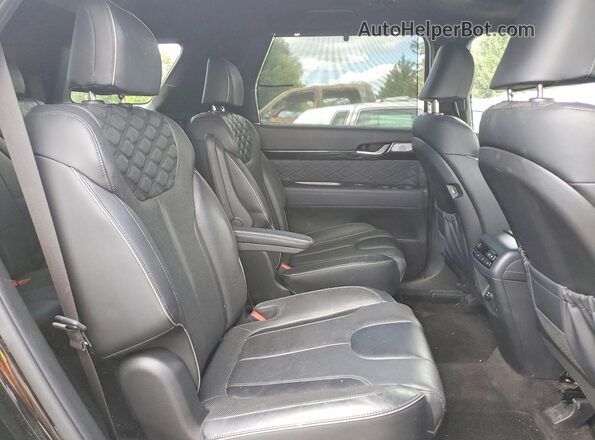 KM8R5DHE4LU072389 2020 HYUNDAI PALISADE Black Rear interior view