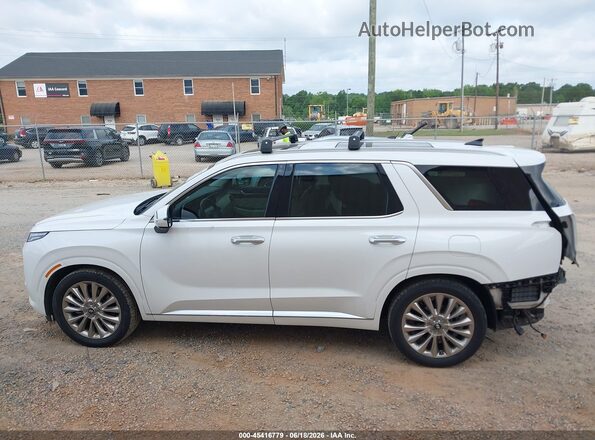 KM8R5DHE4LU153473 2020 HYUNDAI PALISADE White Панорамний вид салону 360°