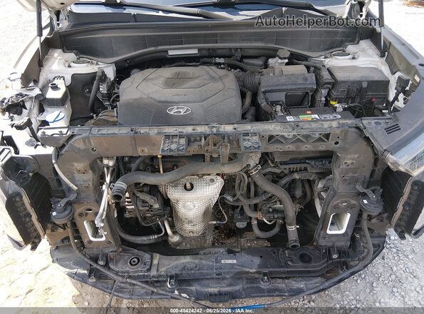 KM8R5DHE4MU173451 2021 HYUNDAI PALISADE Белый Вид сзади