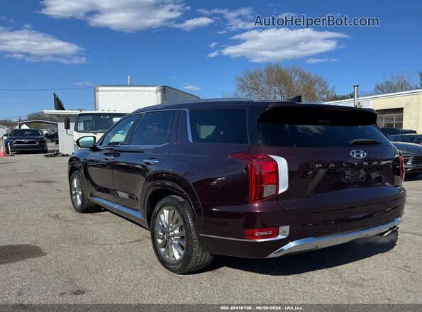 KM8R5DHE5LU071297 2020 HYUNDAI PALISADE Red Задня ліва чверть