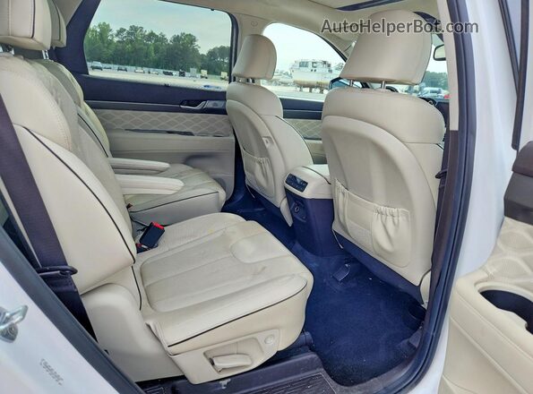 KM8R5DHE5LU169438 2020 HYUNDAI PALISADE White Rear interior view