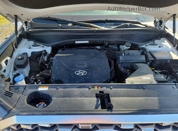 KM8R5DHE5MU206926 2021 HYUNDAI PALISADE White 