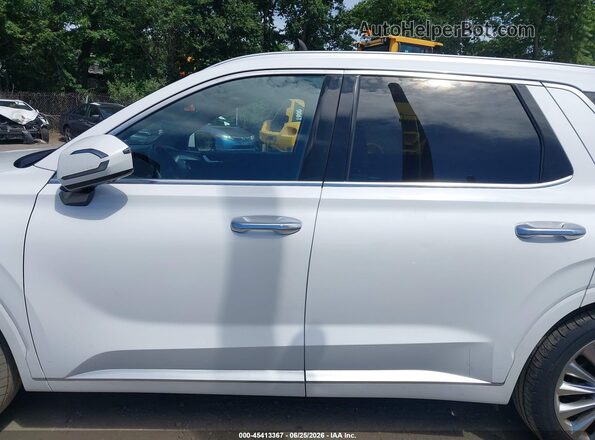 KM8R5DHE7LU100945 2020 HYUNDAI PALISADE Белый Панорамный вид салона 360°