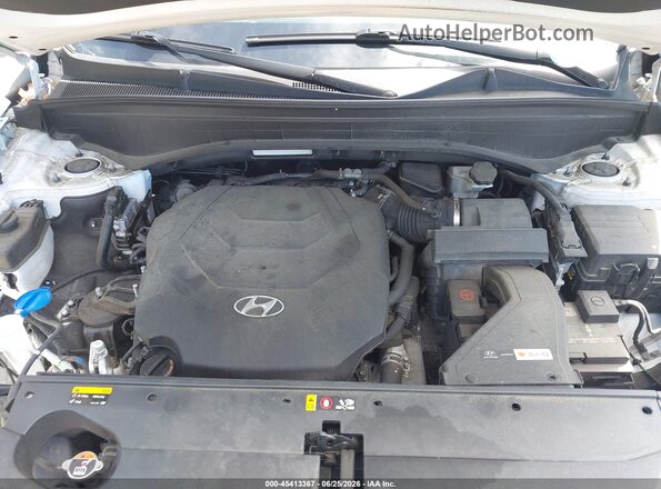 KM8R5DHE7LU100945 2020 HYUNDAI PALISADE Белый Вид сзади