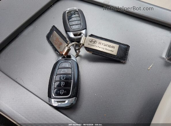 KM8R5DHE8LU110609 2020 HYUNDAI PALISADE Blue 
