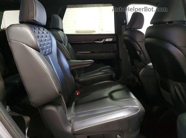 KM8R5DHE9LU085526 2020 HYUNDAI PALISADE Gray Вид задньої частини салону