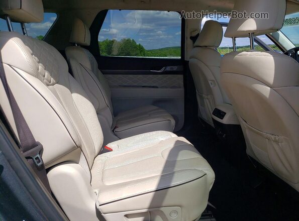 KM8R5DHEXLU162193 2020 HYUNDAI PALISADE Серый 