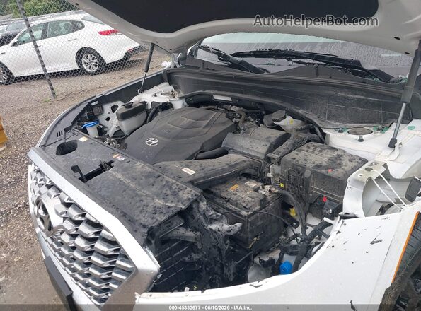 KM8R5DHEXMU174779 2021 HYUNDAI PALISADE White Widok z tyłu