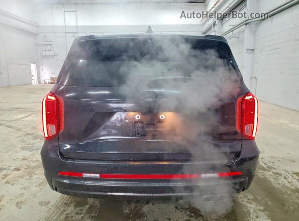 KM8R7DGE1RU796819 2024 HYUNDAI PALISADE Черный Вид сзади