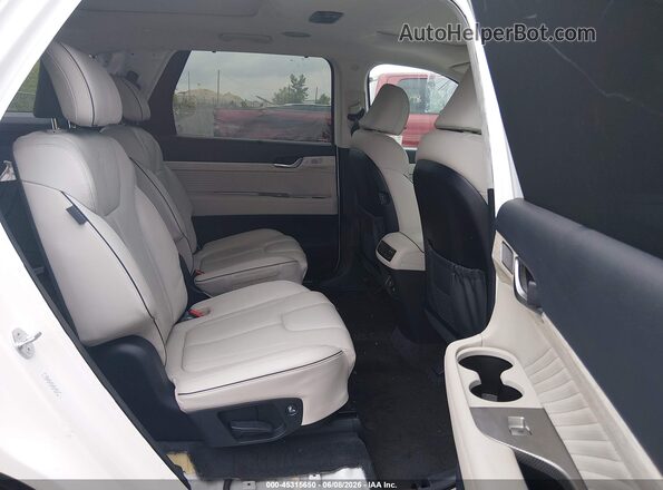 KM8R7DGE4RU742415 2024 HYUNDAI PALISADE White Vista de la etiqueta del VIN