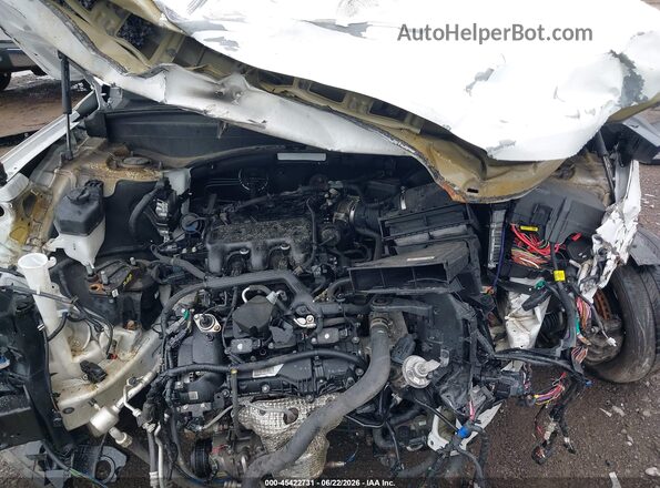 KM8R7DGE7PU541931 2023 HYUNDAI PALISADE White Widok z tyłu