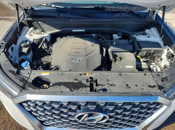 KM8R7DHE3MU192387 2021 HYUNDAI PALISADE White 