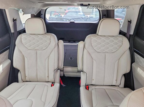KM8R7DHE6MU206427 2021 HYUNDAI PALISADE Black Vista de los asientos traseros