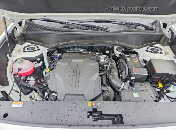 KM8RJES28TU042635 2026 HYUNDAI PALISADE White Engine compartment view