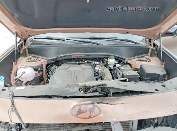 KM8RJES29TU053644 2026 HYUNDAI PALISADE Brown 