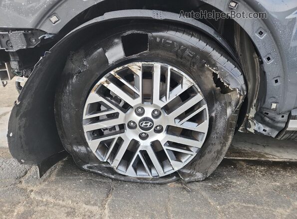 KM8RL5S29TU060023 2026 HYUNDAI PALISADE Серый 