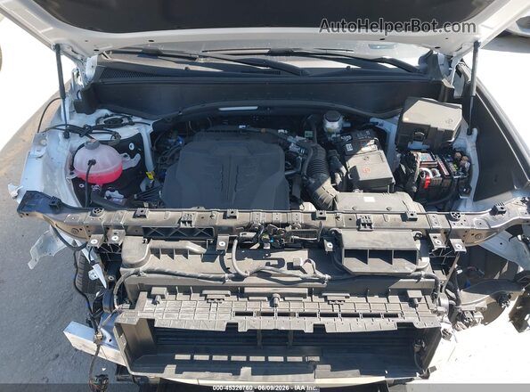 KM8RMES23TU038449 2026 HYUNDAI PALISADE White Widok z tyłu