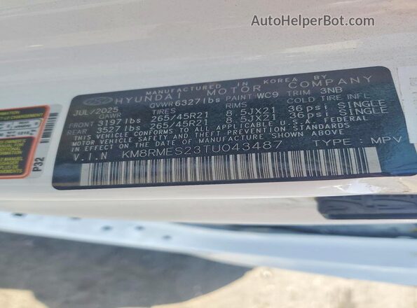 KM8RMES23TU043487 2026 HYUNDAI PALISADE White Вид наклейки з VIN-кодом