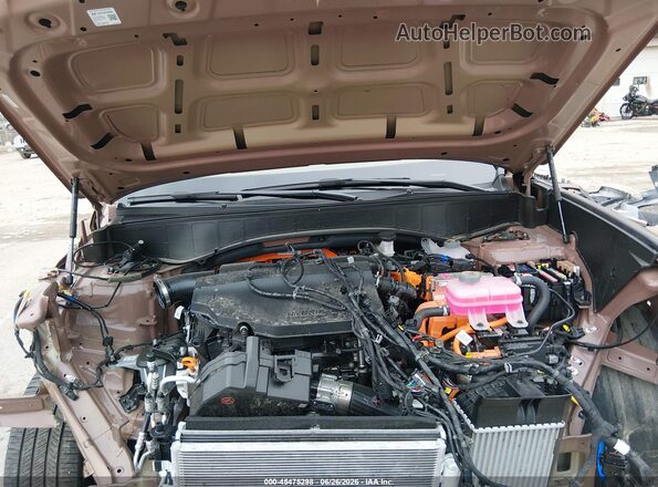 KM8RMESA8TU046540 2026 HYUNDAI PALISADE HEV Brown Widok z tyłu