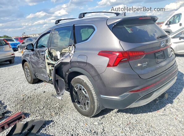 KM8S2DA12MU006166 2021 HYUNDAI SANTA Gray Rear left