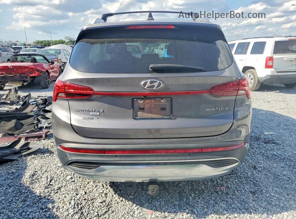 KM8S2DA12MU006166 2021 HYUNDAI SANTA Gray Rear view