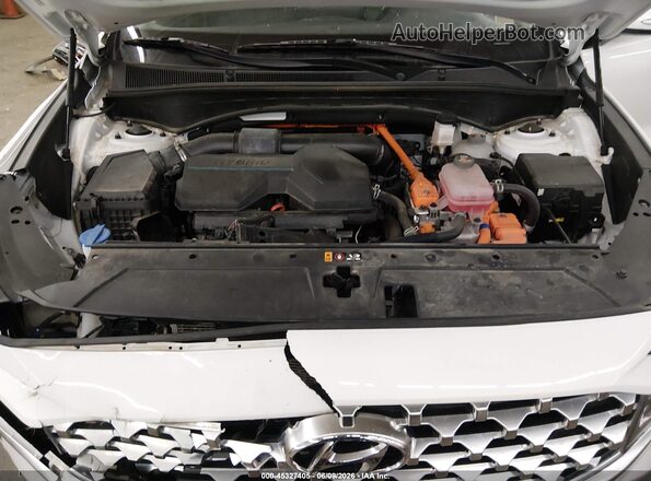 KM8S2DA13MU010484 2021 HYUNDAI SANTA FE HYBRID White Вид ззаду