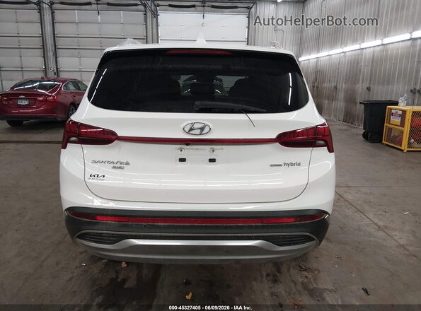 KM8S2DA13MU010484 2021 HYUNDAI SANTA FE HYBRID White 