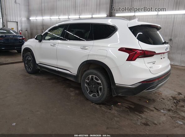 KM8S2DA13MU010484 2021 HYUNDAI SANTA FE HYBRID White Задня ліва чверть